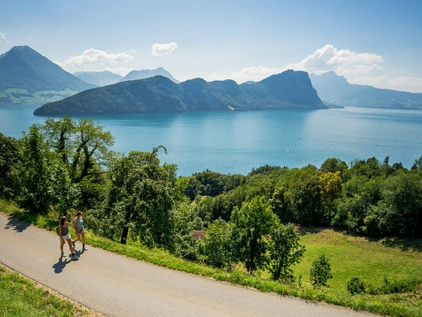 Das See- & Bergpanorama ist Ihr steter Begleiter