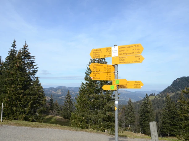 Gut signalisiert. Wegweiser bei der Sternenegg