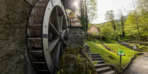 Die Wanderung führt an der historischen Gesslerburg vorbei