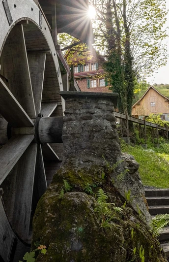 Die Wanderung führt an der historischen Gesslerburg vorbei