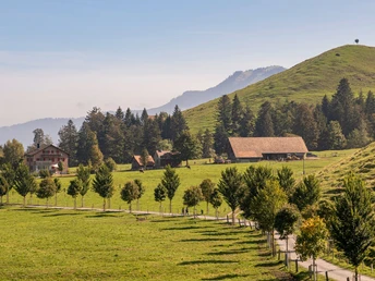 Ein Abstecher in der Holderenhütte ist wärmstens zu empfehlen