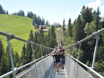 Die Raiffeisen Sky Walk, eine der längsten Hängebrücken Europas.