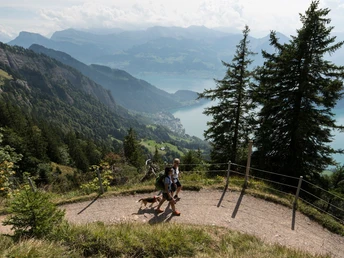 Auf der Wanderung geht es entlang dem Felsenweg.