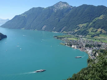 Luftaufnahme von Brunnen am Vierwaldstättersee