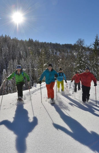 Schneeschuhtour Pragel