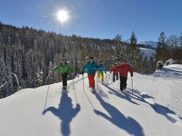 Schneeschuhtour Pragel