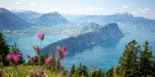 Der Blick auf den Vierwaldstättersee ist atemberaubend