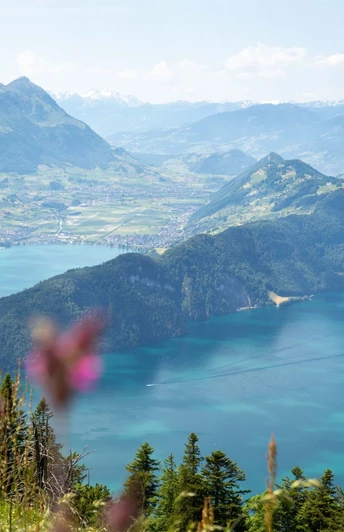 Der Blick auf den Vierwaldstättersee ist atemberaubend