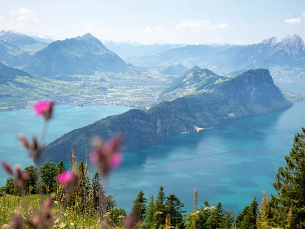Der Blick auf den Vierwaldstättersee ist atemberaubend