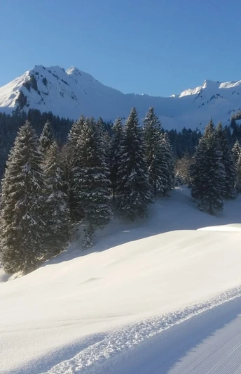 Langlaufloipe Chruteren