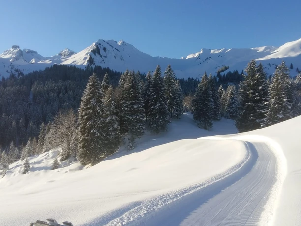 Langlaufloipe Chruteren