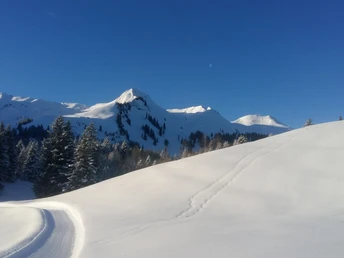 Langlaufloipe Chruteren