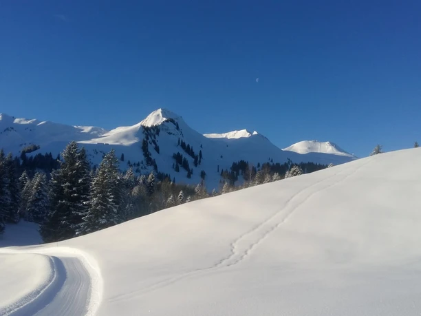 Langlaufloipe Chruteren