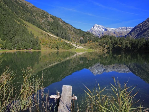 Blick über den Golzernsee
