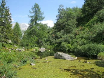 Das Wandflueseeli in der Göschenrealp