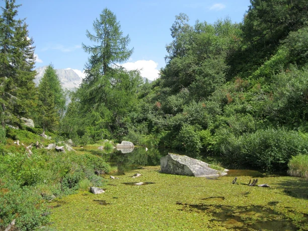 Das Wandflueseeli in der Göschenrealp