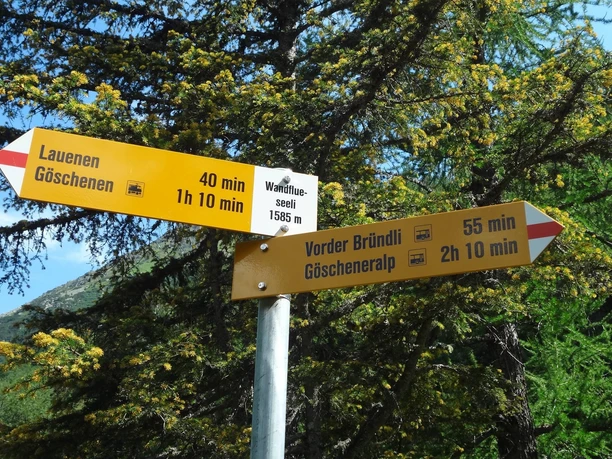 Wegweiserstandort Wandflueseeli