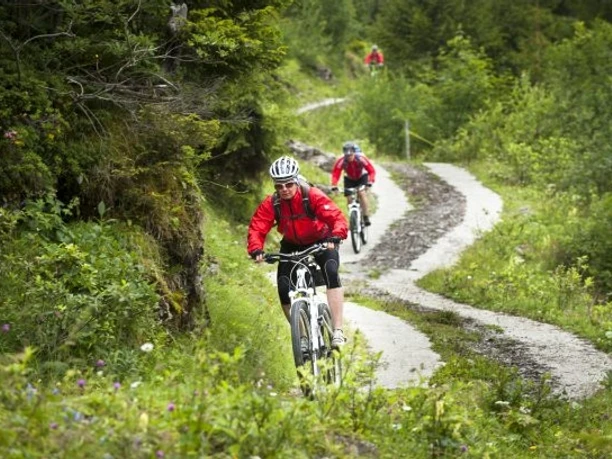 Bike-Tour 403: Über unterschiedliche Beläge durch eine wilde Landschaft!