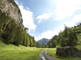 Bike-Tour 403: Eien Tour durch eine wildromantische Landschaft