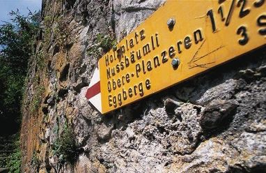 Bike-Tour im Altdorfer Bannwald: Mauern beschützen das Dorf vor Steinschlag