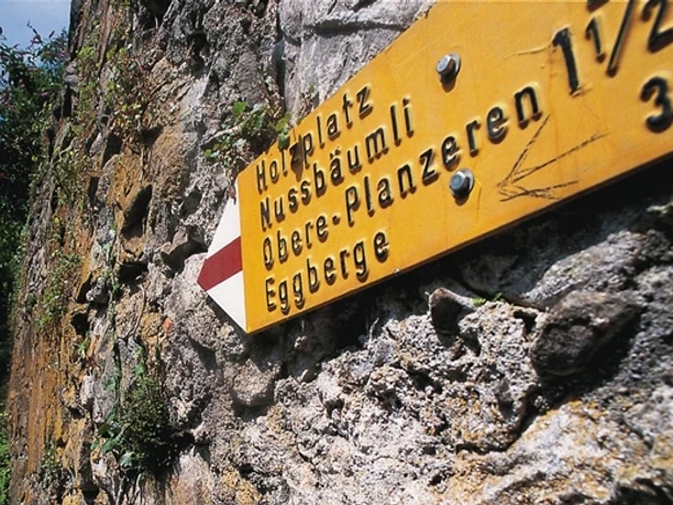 Bike-Tour im Altdorfer Bannwald: Mauern beschützen das Dorf vor Steinschlag