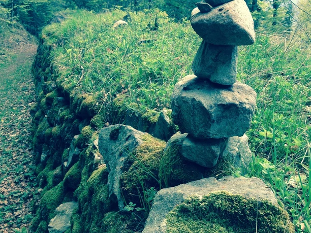 Altdorfer Bannwald: Märchenstimmung