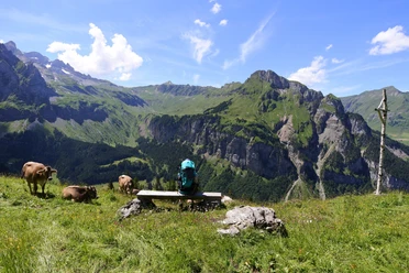 Die prämierte Landschaft des Isenthal