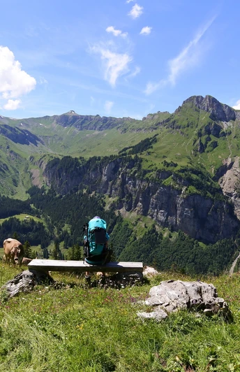 Die prämierte Landschaft des Isenthal