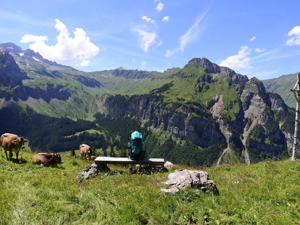 Die prämierte Landschaft des Isenthal