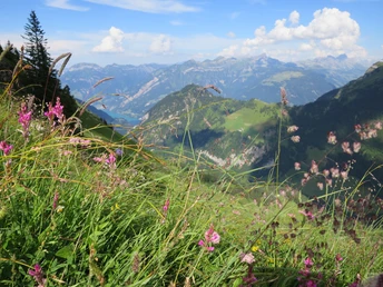 Aussicht vom Sassigrat