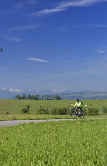 Herzschlaufe Seetal Ostast