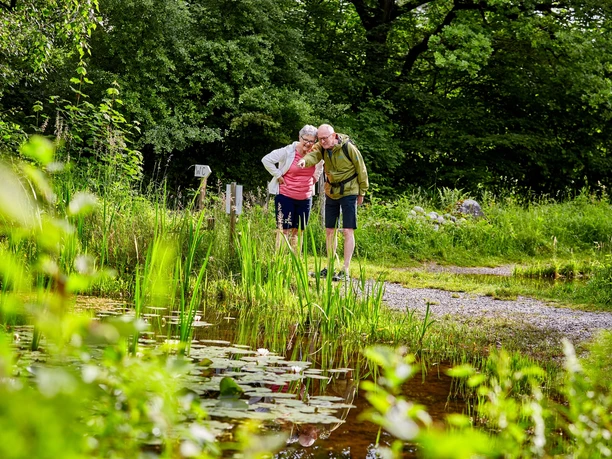 Naturlehrgebiet Buchwald Ettiswil