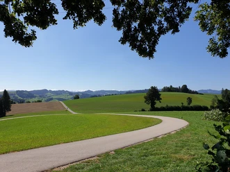 Auf dem Vorberg Richtung Mettenberg