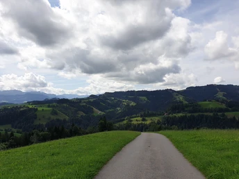 Talfahrt vom Menzberg zur Fontanne
