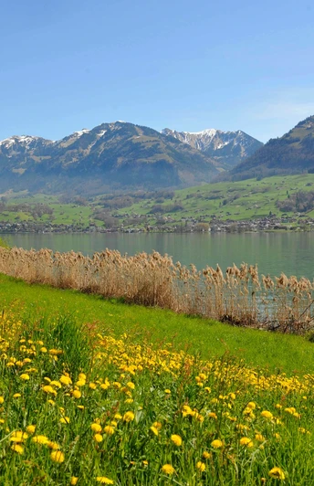 Frühling Sarnersee Wilen