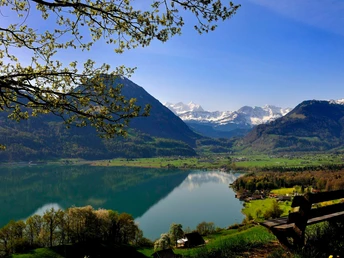 Sarnersee Blick Giswil