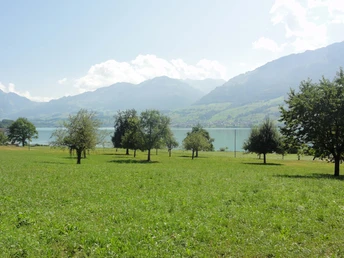 Sarnersee Wiese Wilen