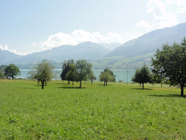 Sarnersee Wiese Wilen