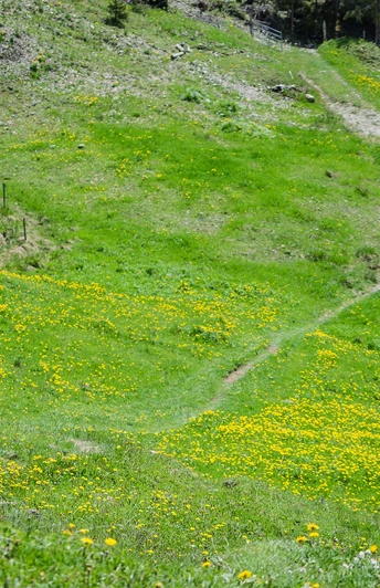 Unterwegs mit dem Bike in der UNESCO Biosphäre Entlebuch.