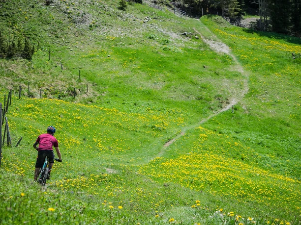 Unterwegs mit dem Bike in der UNESCO Biosphäre Entlebuch.