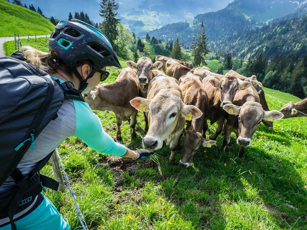 Rund um die Schrattenfluh