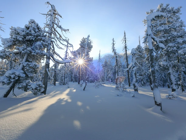 Die wunderschöne und national bedeutende Moorlandschaft Salwiden im Winterkleid
