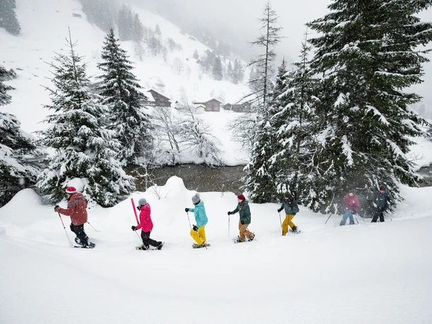 Schneeschuhlaufen Göscheneralp