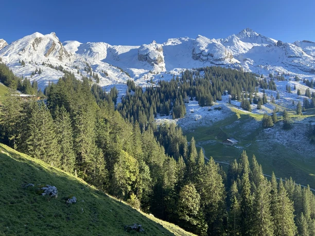 Blick unterhalb von Bärenfallen in richtung Schinberg, Risetenstock und Brisen