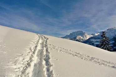 Skitour Muotathal