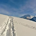 Skitour Muotathal