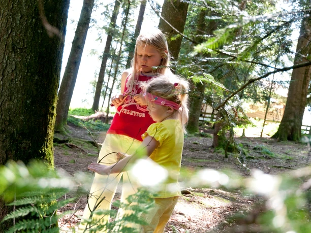 Spielen bei der Grillstelle Bühlwald