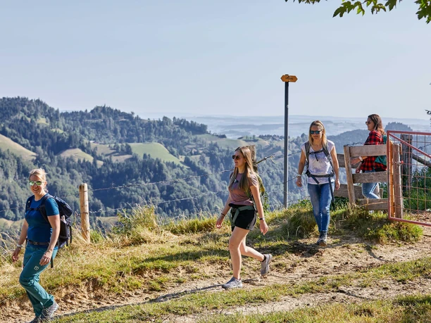 Wandern mit Aussicht auf dem Höhenweg in Schüpfheim.