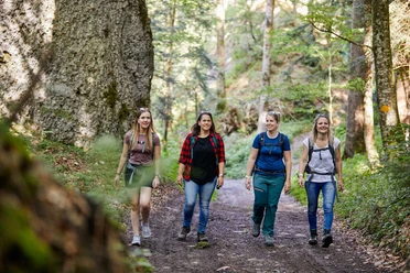 Lauschige Wälder spenden Schatten an heissen Sommertagen.