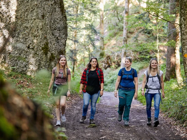 Lauschige Wälder spenden Schatten an heissen Sommertagen.